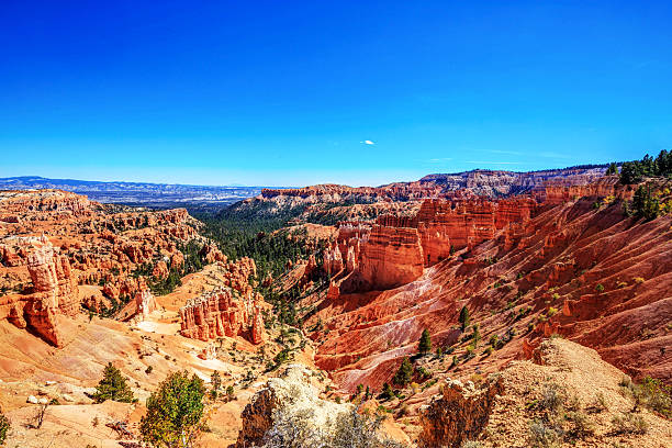istock hoodoos at sunrise point, Bryce canyon national park 499093562