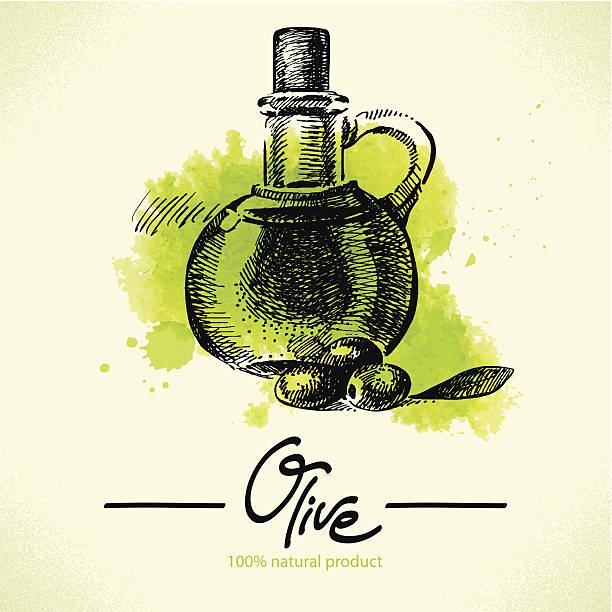 ilustrações, clipart, desenhos animados e ícones de ilustração desenhada à mão com aquarela de oliva - tempera painting paint art bottle