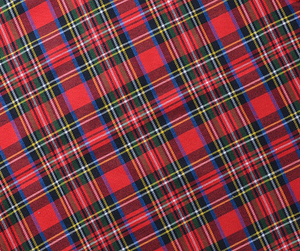 istock Red black and White rustic plaid fabric swatch textile backgroun 499096422