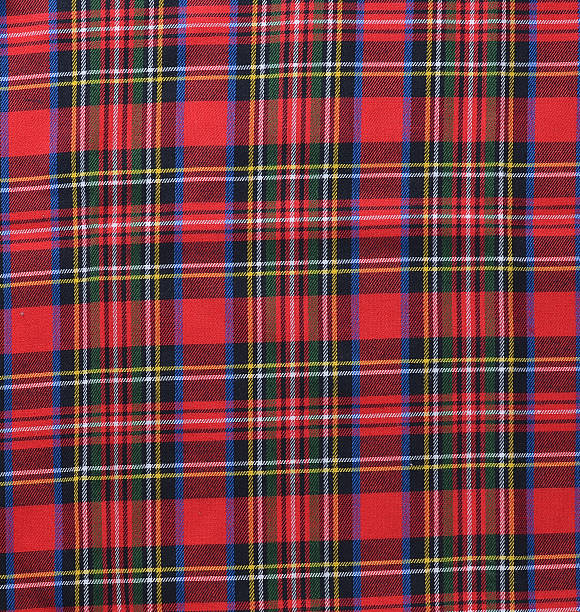 istock Red black and White rustic plaid fabric swatch textile backgroun 499096520