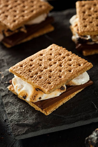 istock S'mores with Marshmallows Chocolate and Graham Crackers 499096919