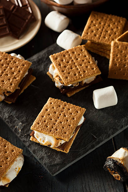 istock S'mores with Marshmallows Chocolate and Graham Crackers 499096933