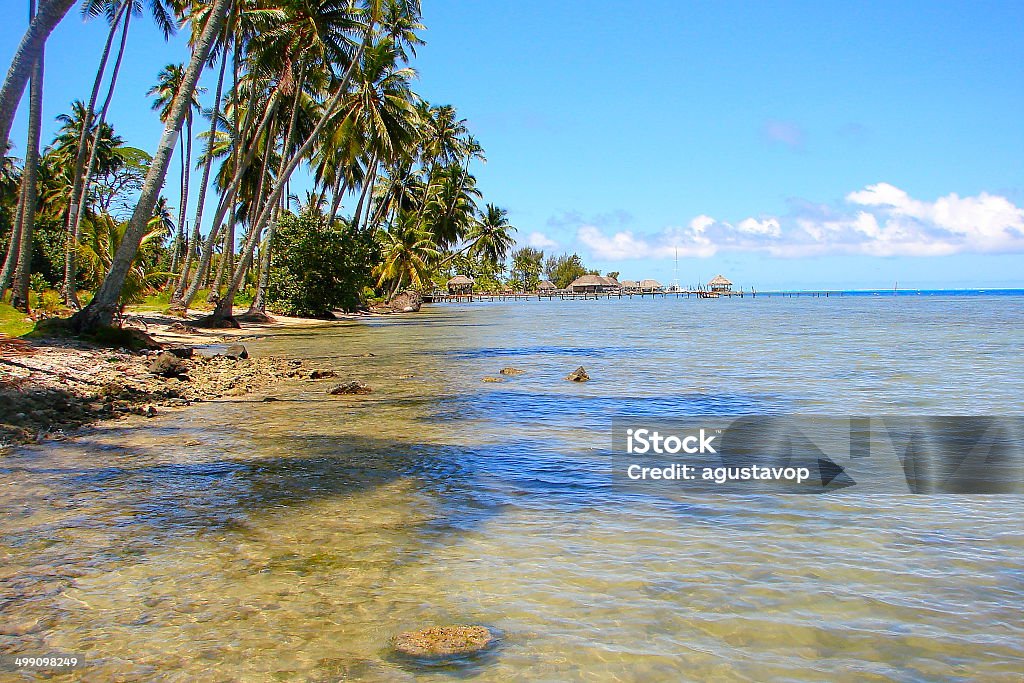 Moorea krystalicznego turkusowy plaży, Polinezja Francuska, Tahiti - Zbiór zdjęć royalty-free (Bez ludzi)