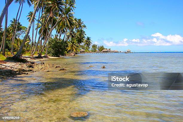 Moorea Krystalicznego Turkusowy Plaży Polinezja Francuska Tahiti - zdjęcia stockowe i więcej obrazów Bez ludzi