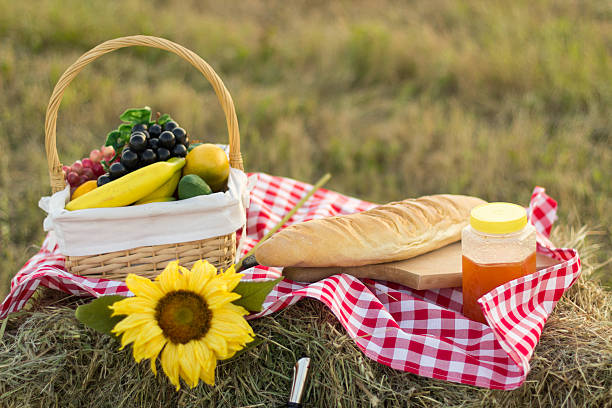 istock Picnic basket and straw hay laying on the grass 499098759
