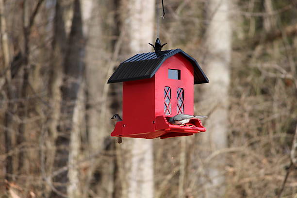 Birds eating at a red barn bird feeder.