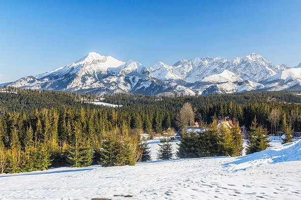 istock Winter High Tatra Mountains landscape 499098896