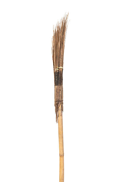 istock Coconut broom isolated on white background. 499099126