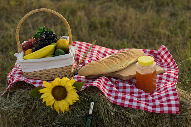 istock Picnic basket and straw hay laying on the grass 499099159
