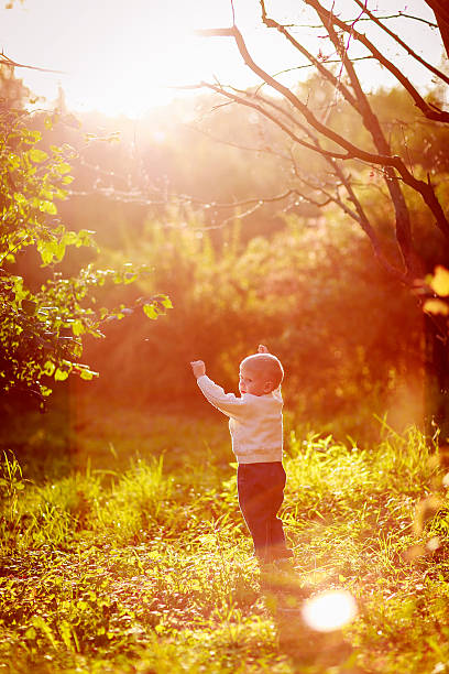 istock Toddler pulls hands to Dad helped him hang 499099584