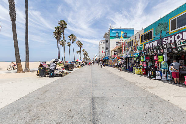 venice beach boardwalk editorial - palm tree california city of los angeles venice beach - fotografias e filmes do acervo