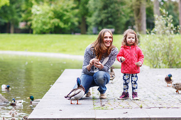 istock Mother and her daugther feeding ducks at summer 499110209