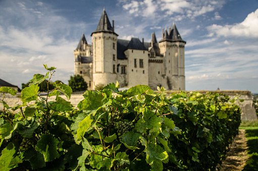 Saumur, France - October 3, 2013: Panoramic of Saumur Chateau and a nice vineyard on grass. Stormy clouds given a dramatic look