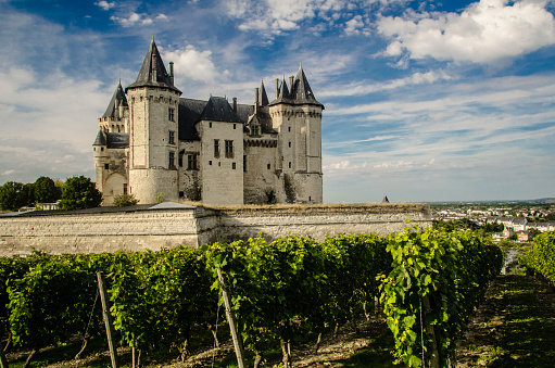 Saumur, France - October 3, 2013: Panoramic of Saumur Chateau and a nice vineyard on grass. Stormy clouds given a dramatic look