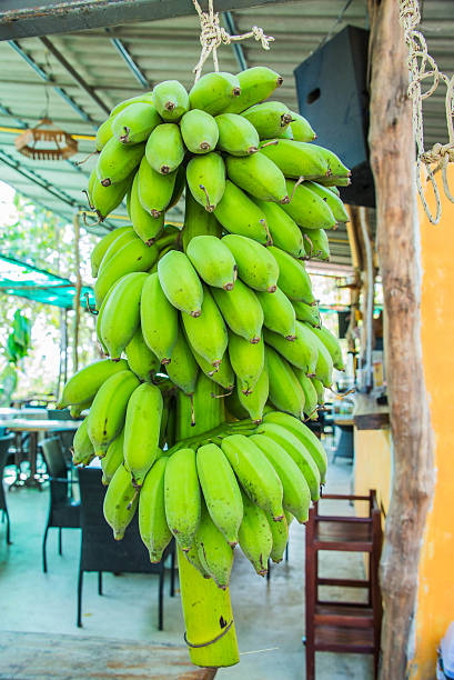 바나나 스톡 사진