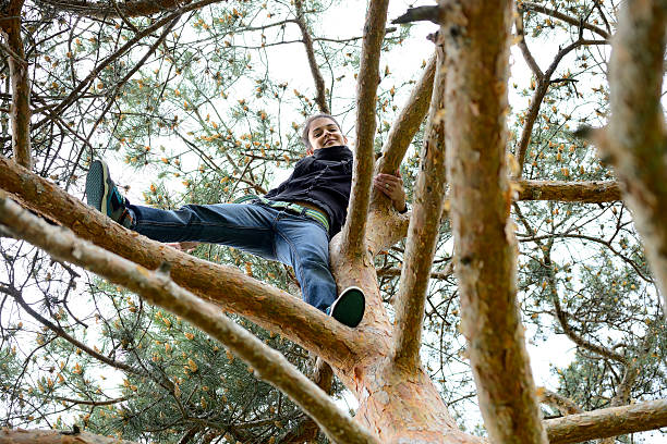 istock Beautiful young woman looking down from a tall tree 499112951