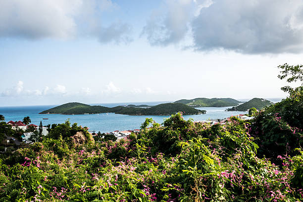 istock The Caribbean Island of St Thomas 499113151