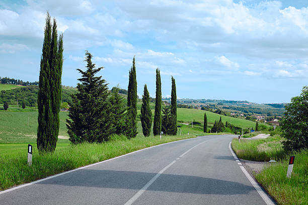 istock Asphalt road and cypress trees 499113765