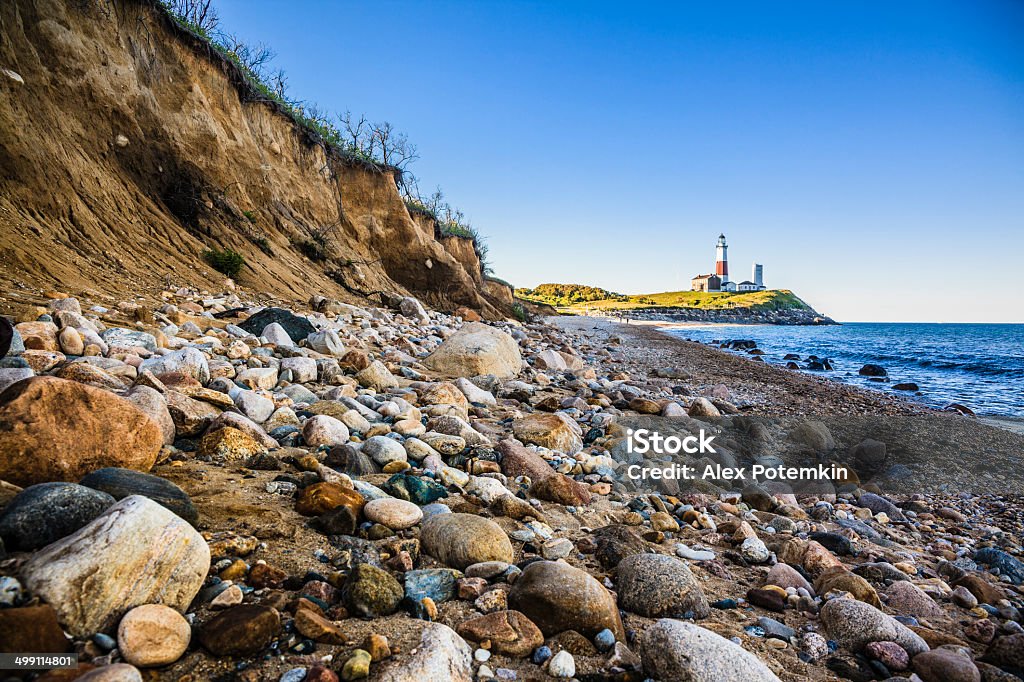 Phare de Montauk point, Long Islans - Photo de Arbre en fleurs libre de droits