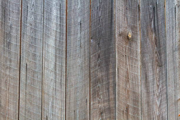 sfondo di legno rustico. - wood rustic close up nail foto e immagini stock