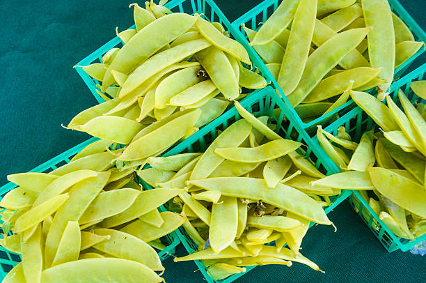 Fresh organically grown peas in their pod