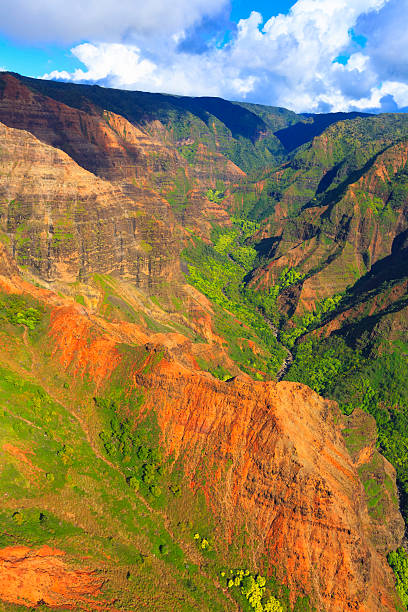 istock Waimea Canyon, Kauai 499115561