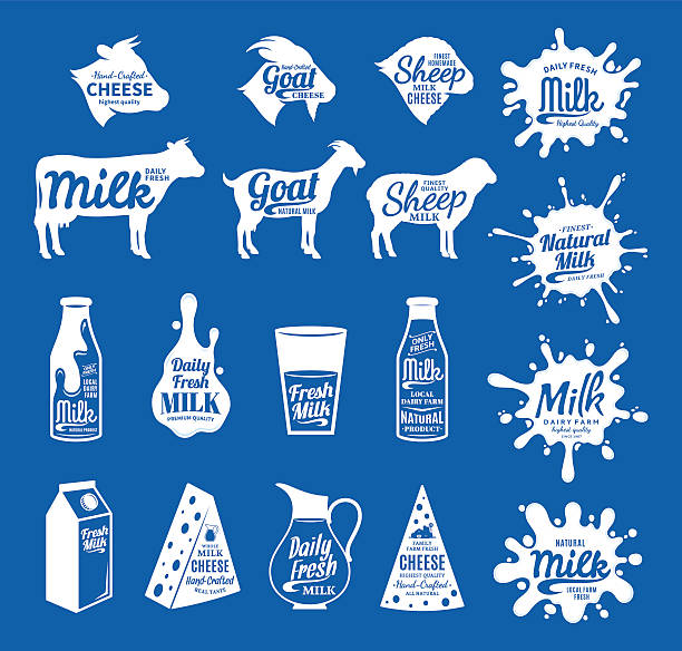 Milk and Cheese Labels, Icons and Design Elements Vector cheese and milk labels. Dairy products, farm animals icons and milk splashes with sample text. Cheese and milk icons collection for groceries, agriculture stores, packaging and advertising. milk bottle stock illustrations