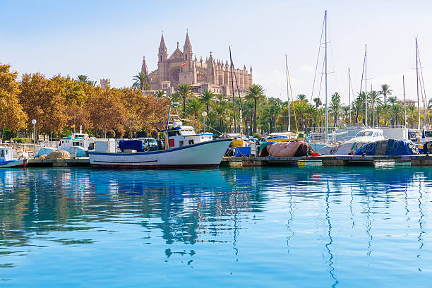 istock Cathedral of Majorca  La seu from Palma de Mallorca 499122906