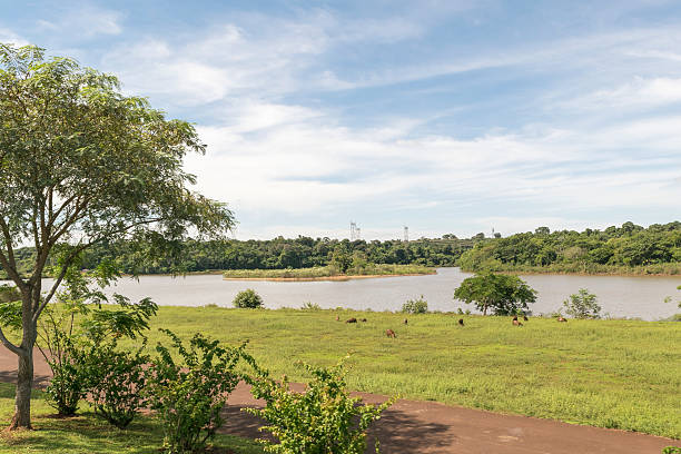 istock Itaipu Park at Brazilian Border 499123616