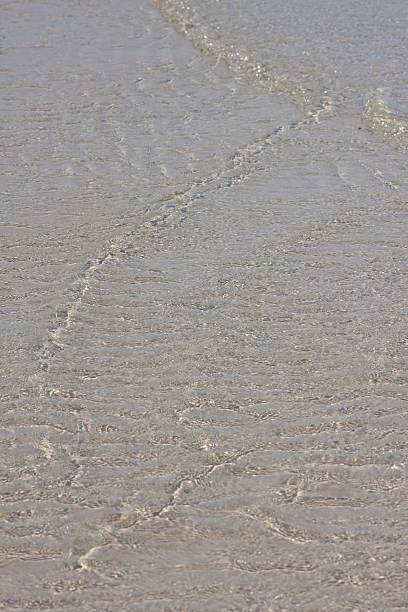 istock Sea water waving into the beach. 499124881