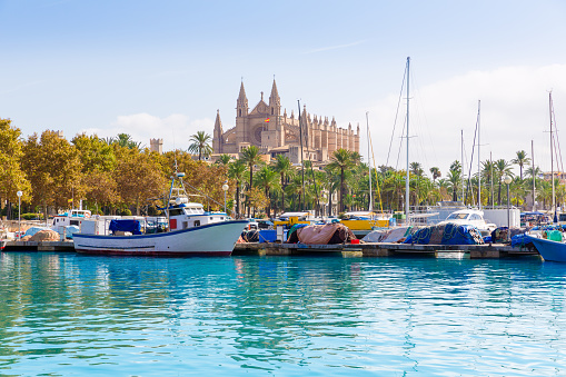 Palma de Mallorca port marina in Majorca with Cathedral church Balearic Islands