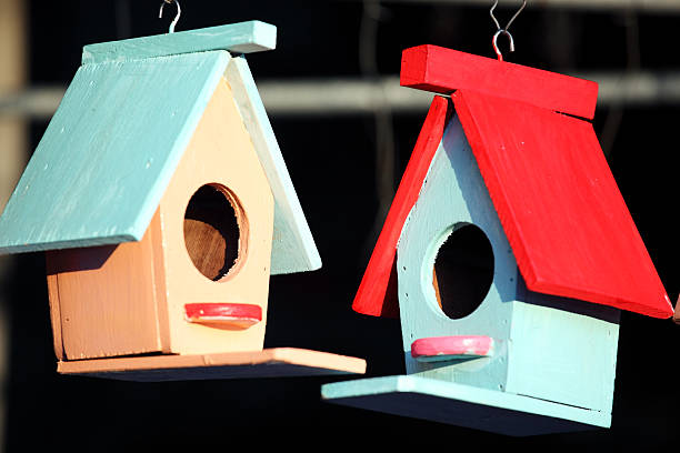istock colorful wooden bird house 499126406