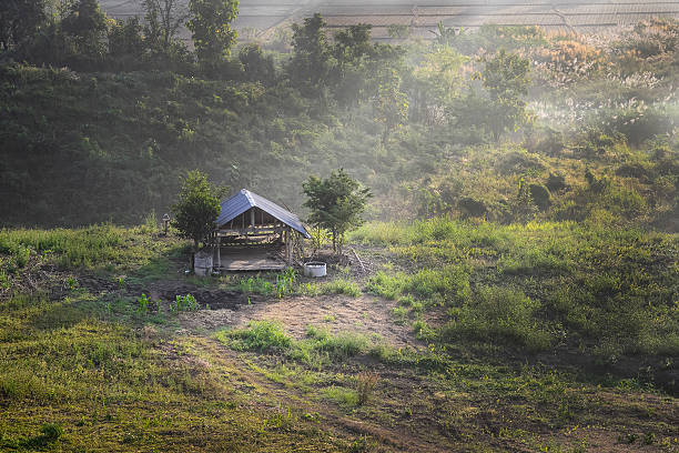 istock romantic view of an ethnic cottage among terraced fields 499127687