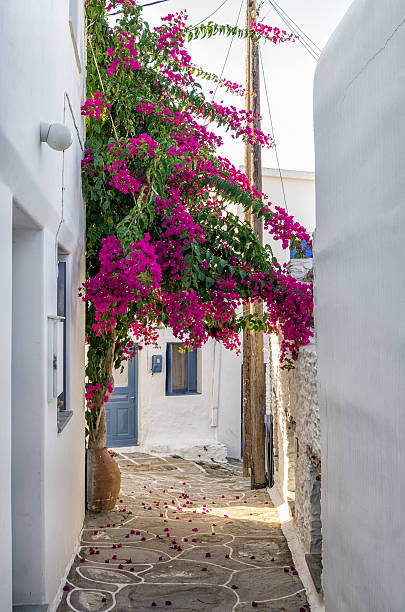 istock Street in Kythnos island, Cyclades, Greece 499128342