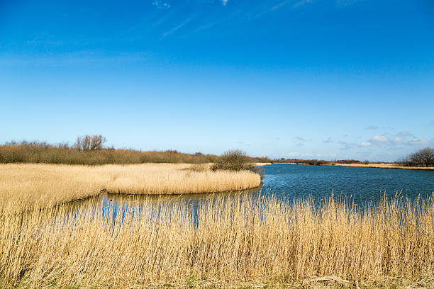 istock Westkapelle Creek with beautiful Panorama 499128414