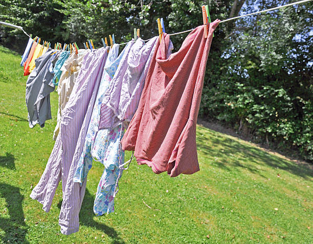 istock Laundry hanging in a garden 499129323
