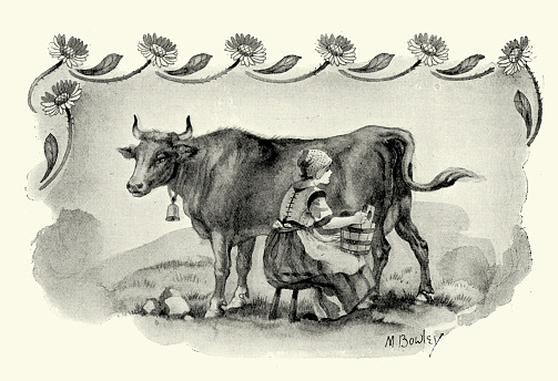 Vintage victorian engraving of a Milkmaid milking a cow