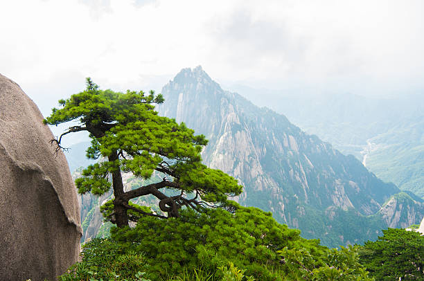 istock Huangshan China 499130525