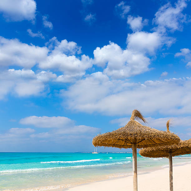 istock Majorca Es Trenc ses Arenes beach in Balearic 499130686