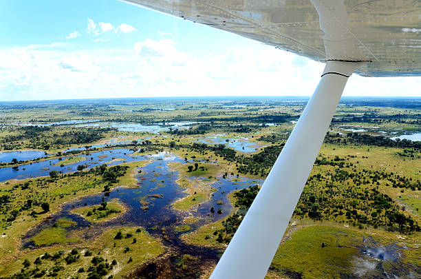 Okavango delta the view from an aircraft flying over the Okavango delta in africa delta stock pictures, royalty-free photos & images