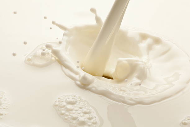 istock Splash of milk on a white background 499131024