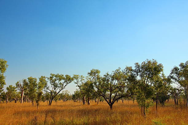 Kimberley, Western Australia