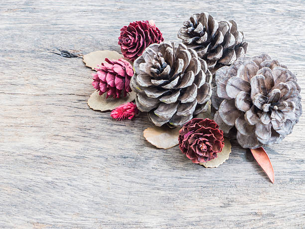 istock Dry cone  pine on wooden background 499133106