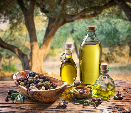 Olives and olive oil in a bottle on the background of the evening olive grove.