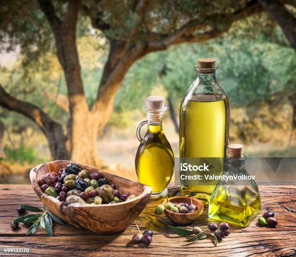 Olives And Olive Oil On The Nature Background Stock Photo - Download Image Now - Olive Oil, Olive - Fruit, Olive Tree