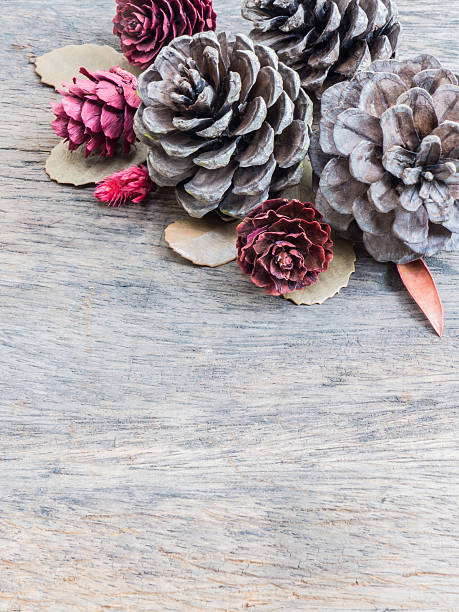 istock Dry cone pine on wooden background 499133444