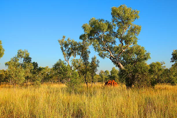 Kimberley, Western Australia