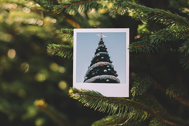 Christmas time Polaroid photo of Christmas tree flora family photos stock pictures, royalty-free photos & images