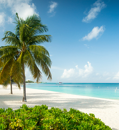 A beautiful beach scene in Barbados