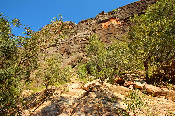 istock Windjana Gorge, Kimberley, Western Australia 499149818